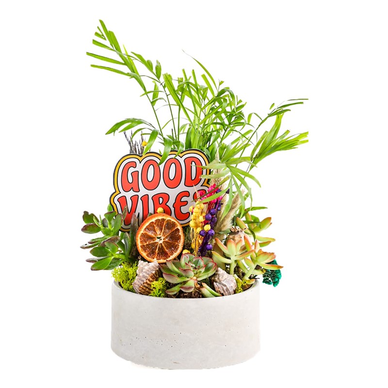 Good Vibes I Taze Çiçek