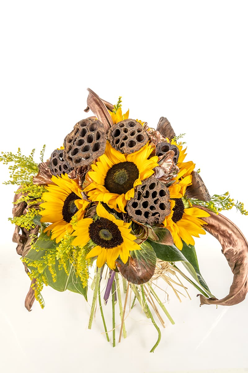 PRO & Sunflower Bronze Love