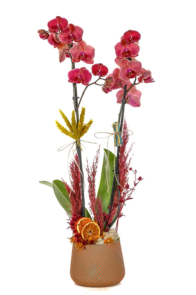 Bakır Design Great Fire Orkide
