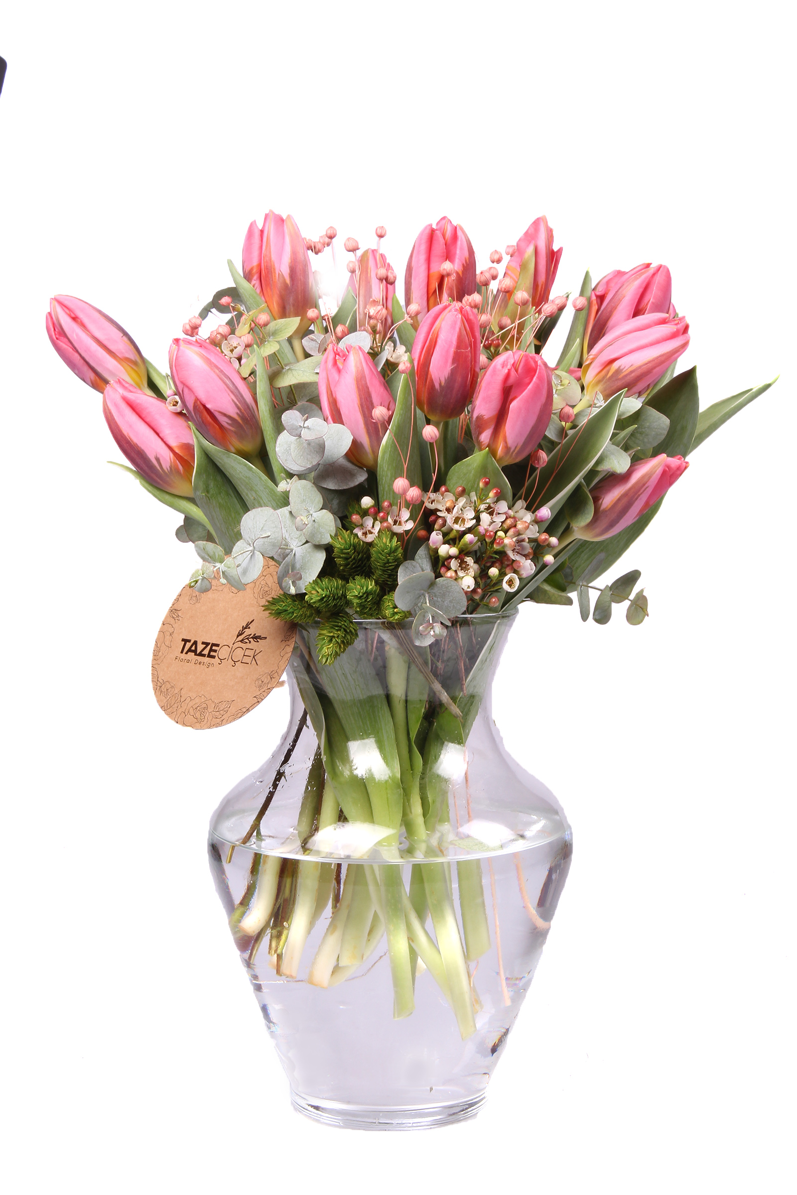 Pink Tulips - Lale
