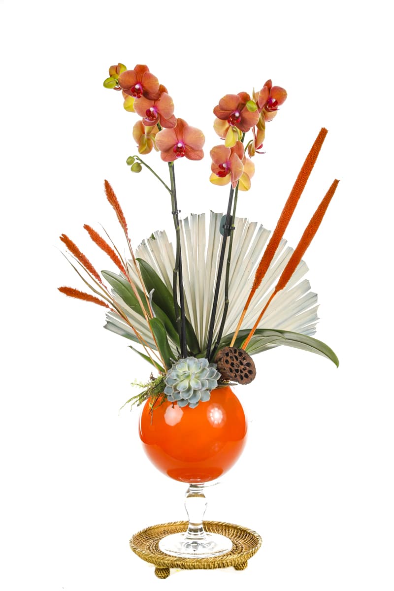 Orange Luxury Orchid