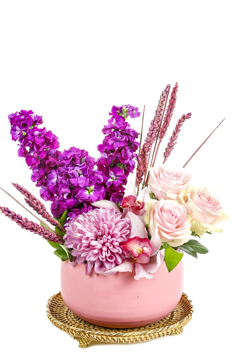 The Sweetness of Pink and Purple