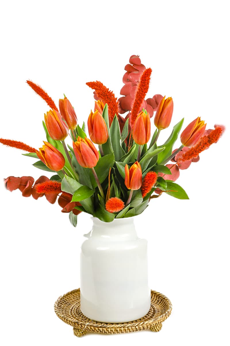 Orange Tulip Effect
