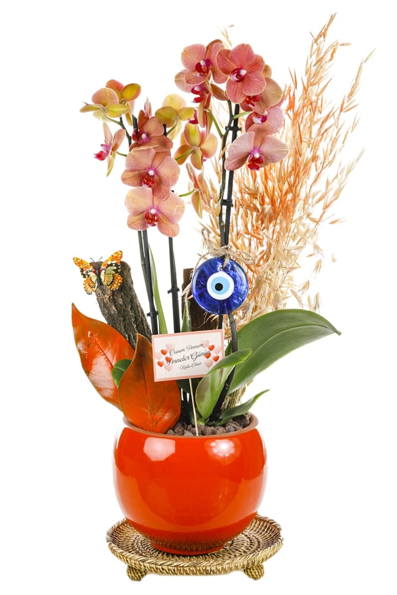 Orange Flower Pot and Evil Eye Bead