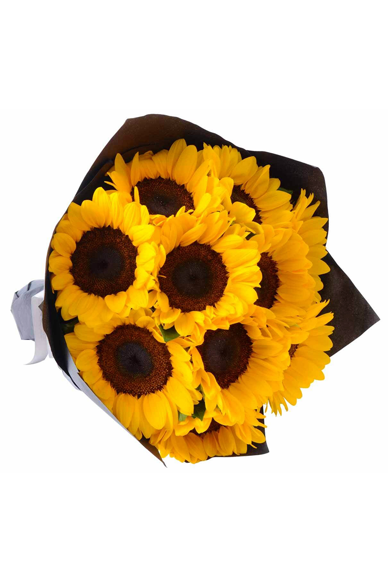 Günebakan Sunflowers
