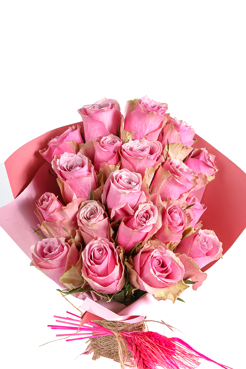 Premium Pink Roses
