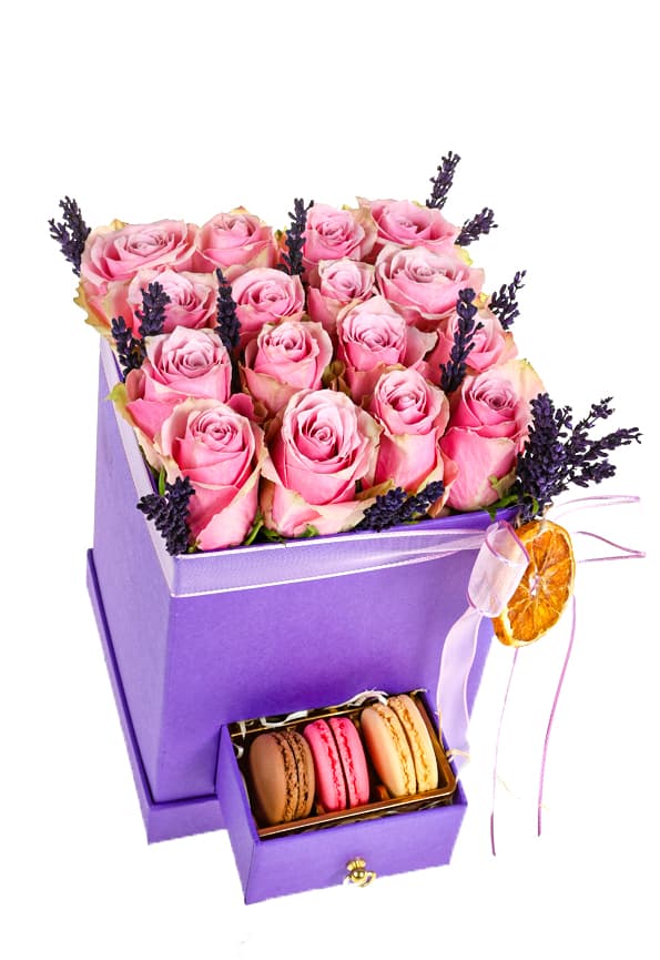 Macaron Lilac Box Rose Makaron