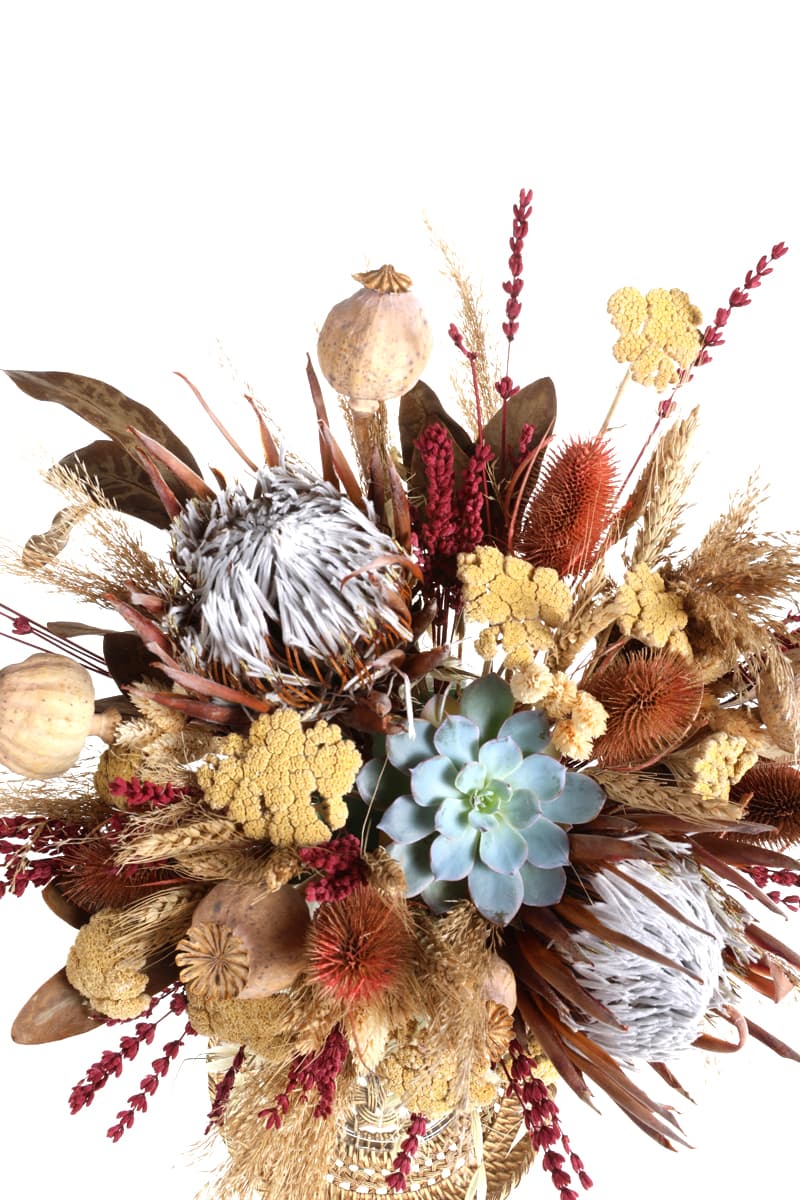 Royal Dried Flowers