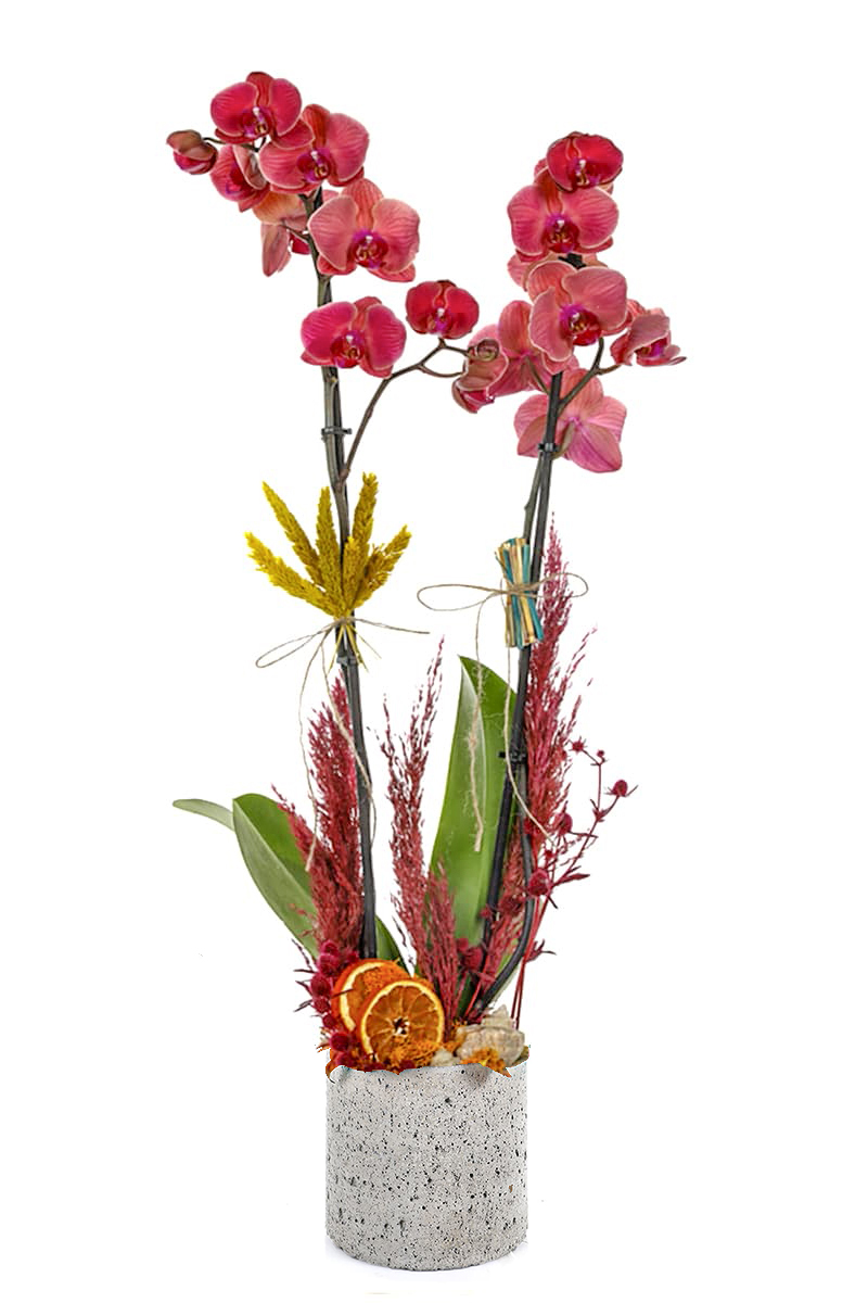 Bakır Design Great Fire Orkide
