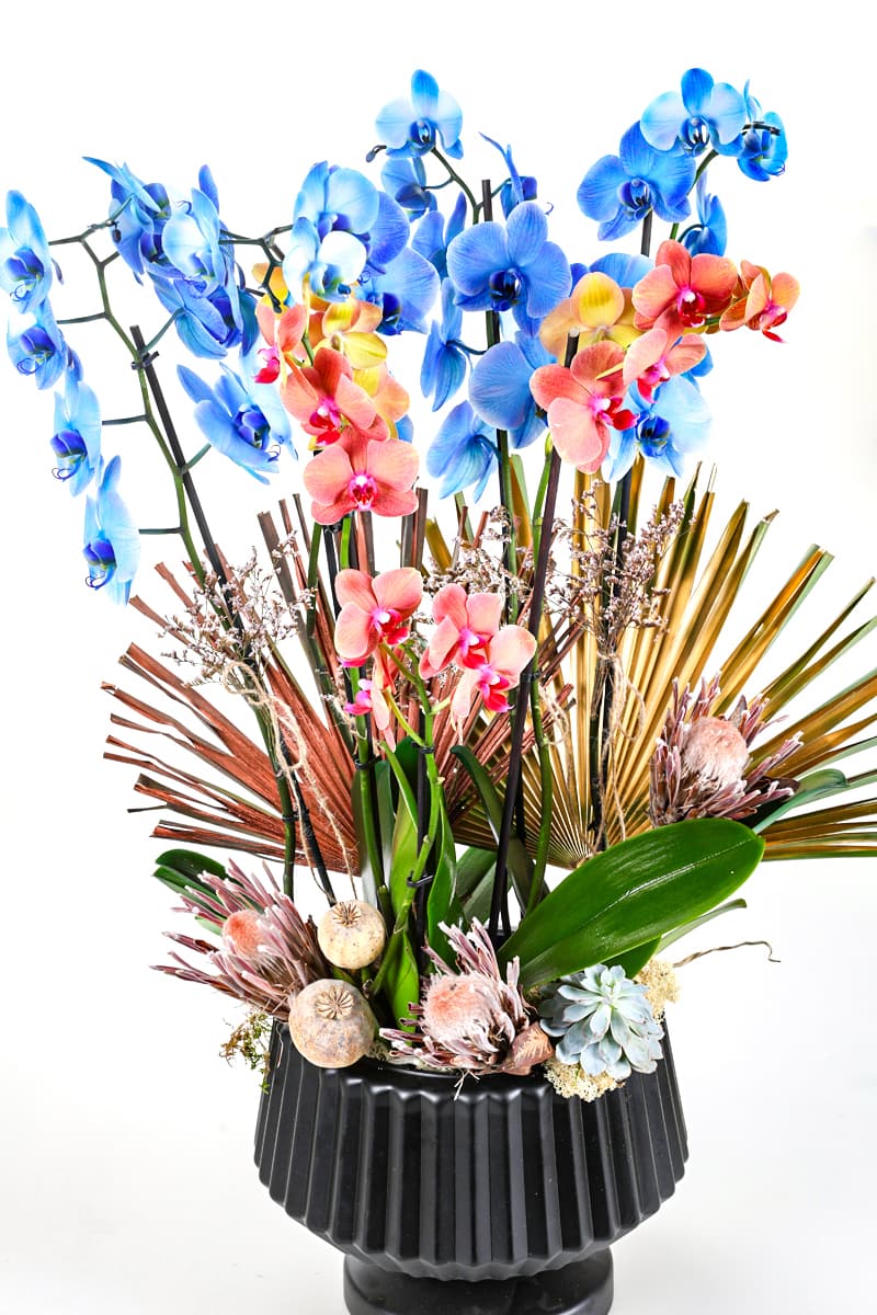 Blue & Orange Luxury Orchid