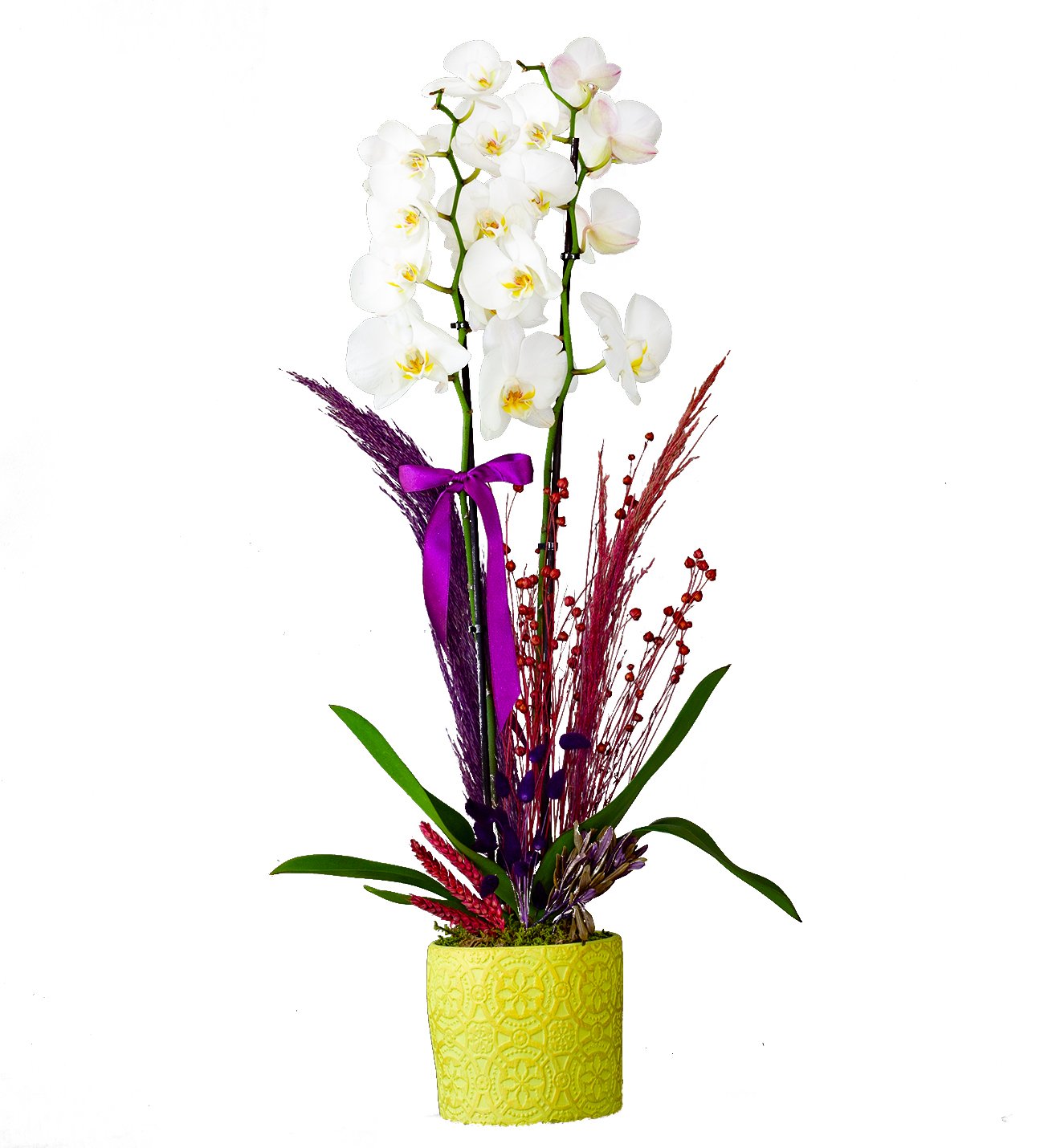 Eskitme Sarı Dekoratif Saksıda Beyaz Orkide