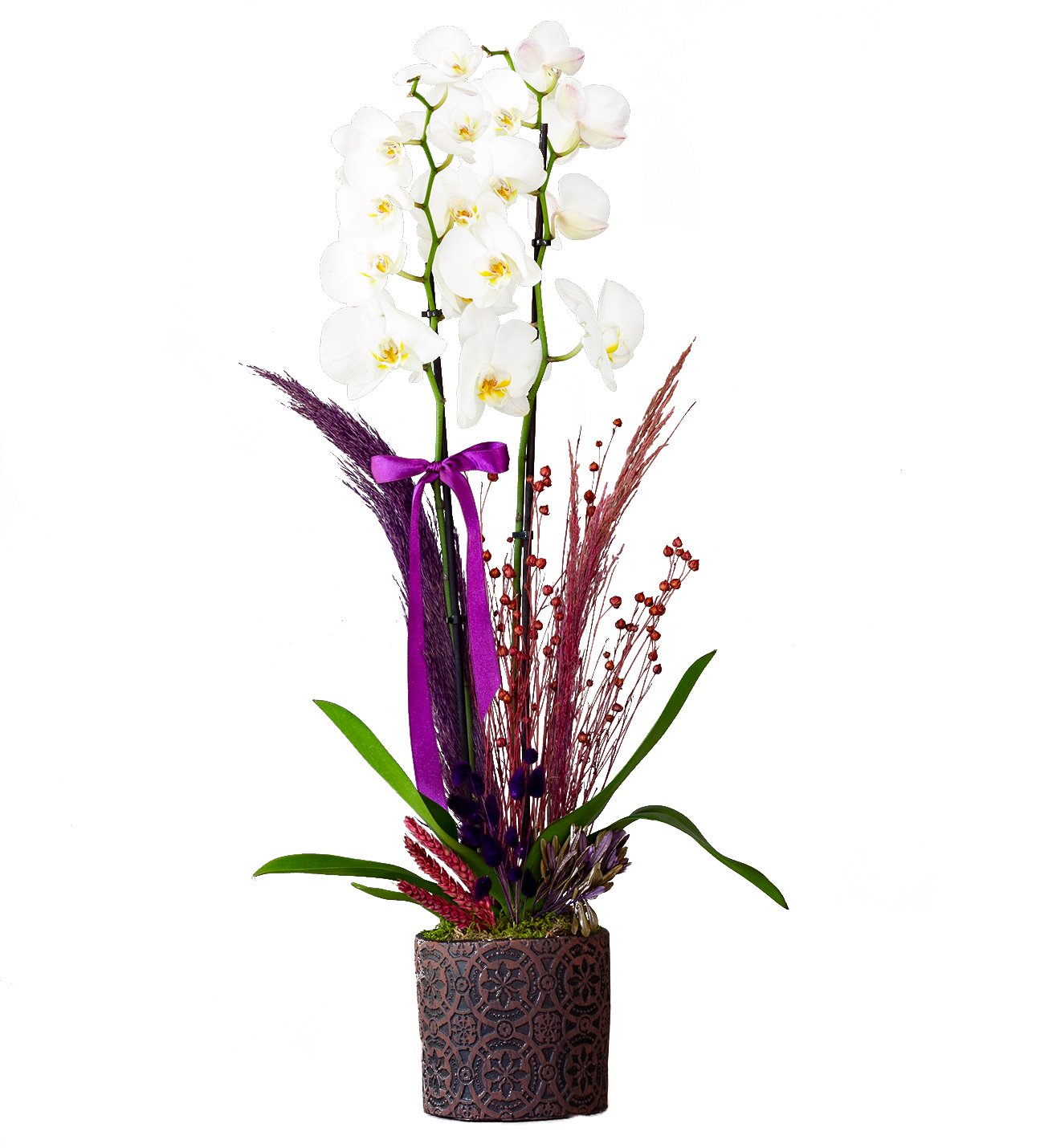 Eskitme Dekoratif Saksıda Beyaz Orkide