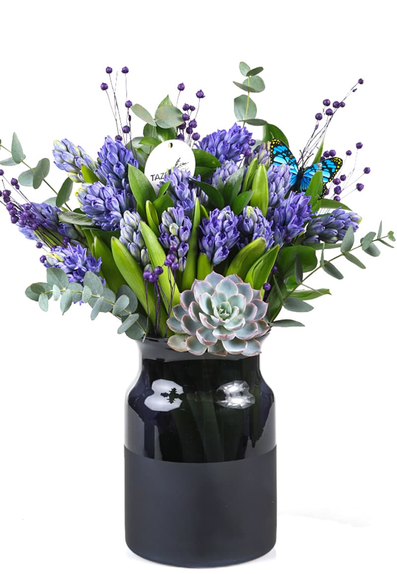 Purple Hyacinth Vase