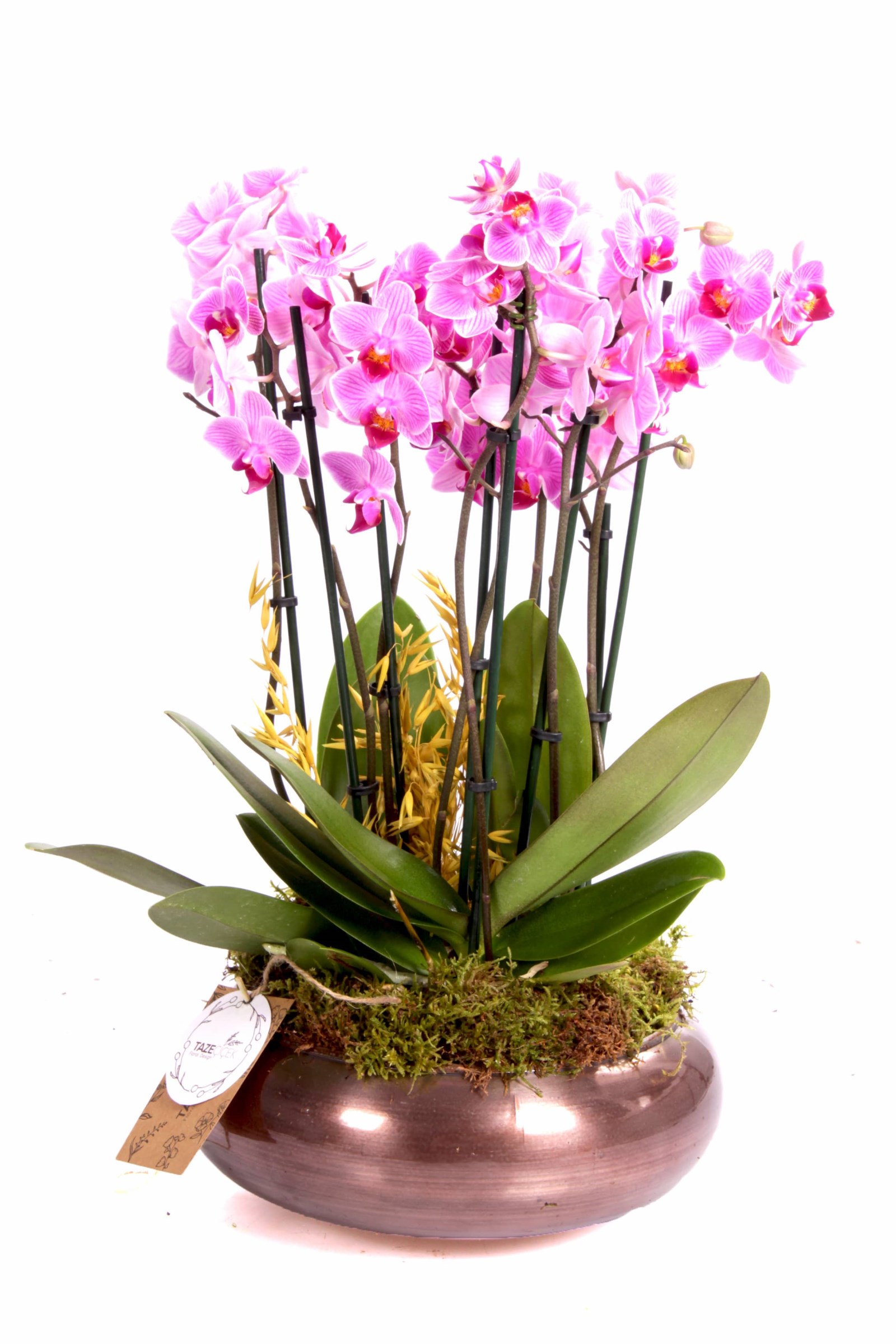 Bakır Design Midi Orkideler
