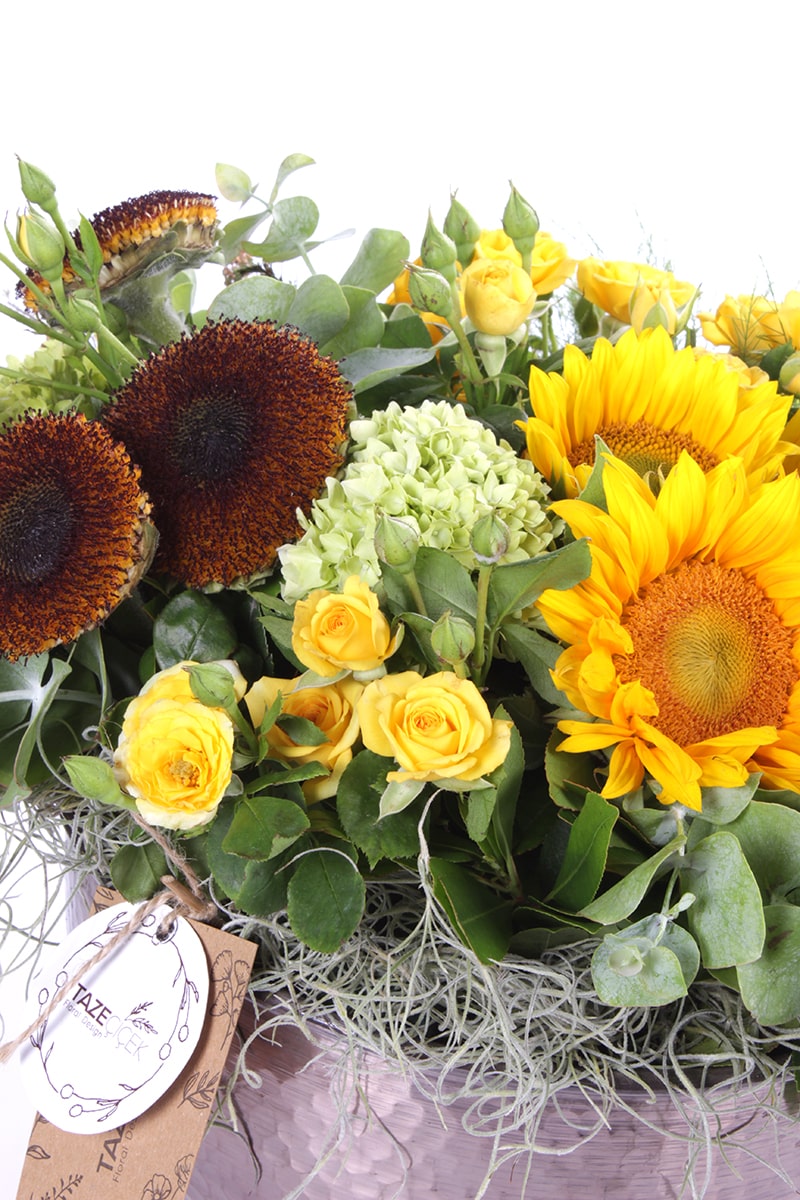 Cheerful Sunflowers