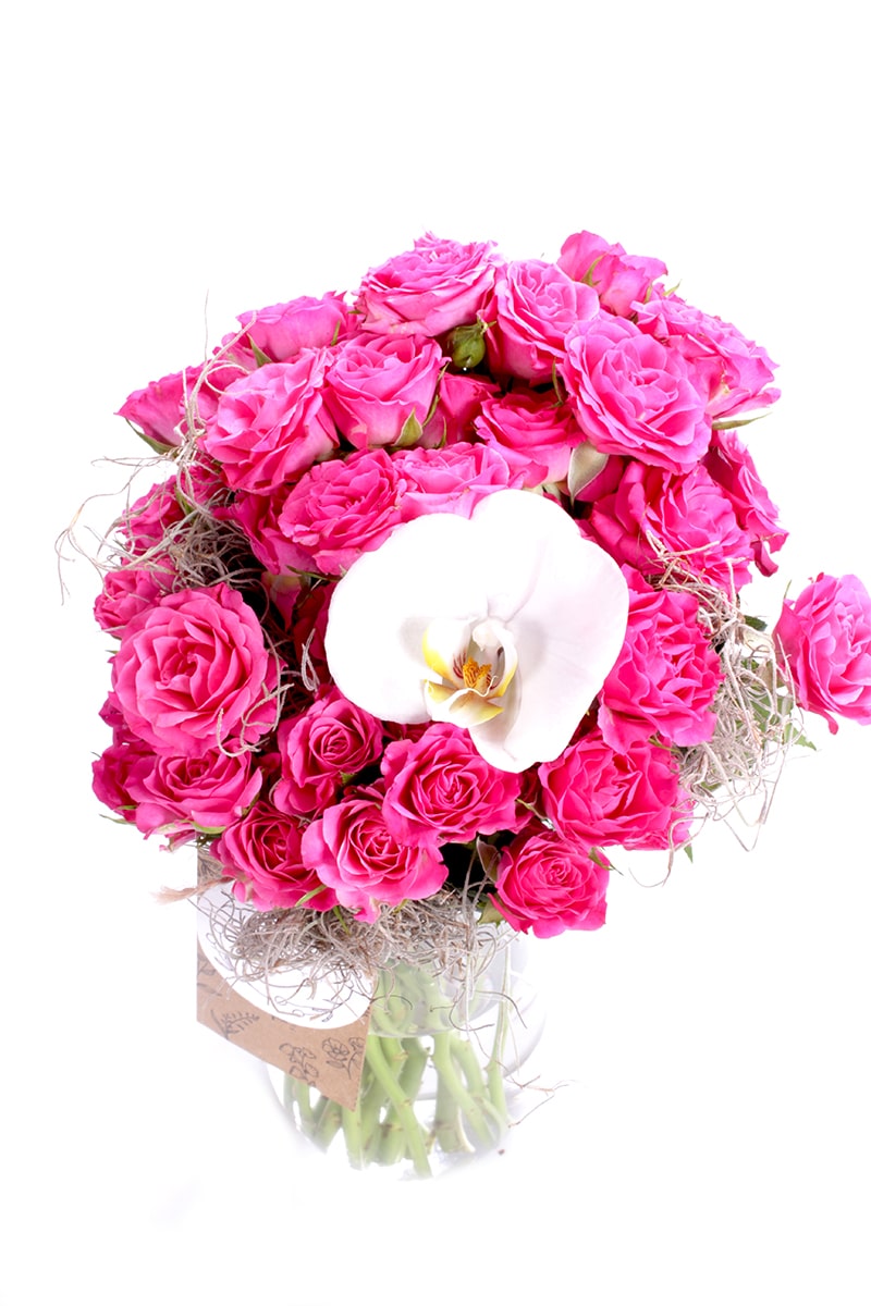 Pure Pink Roses & Orkide