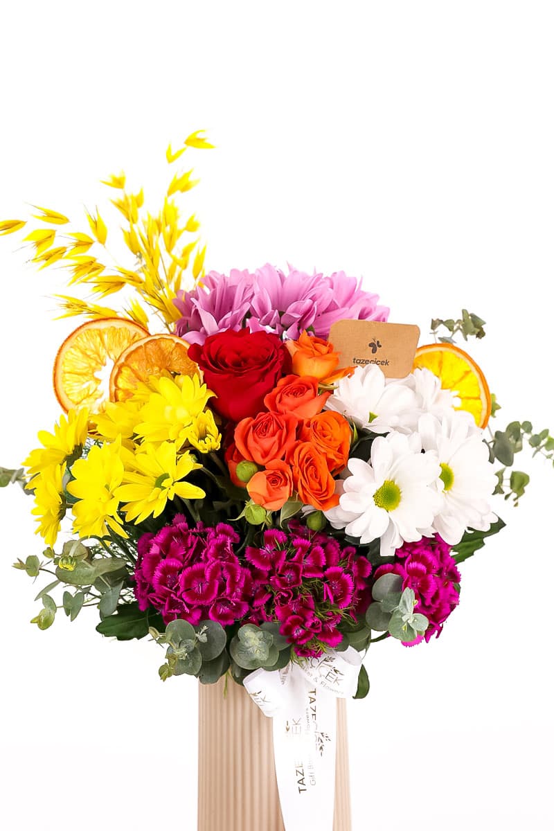 Timeless Colorful Petals Papatyalar