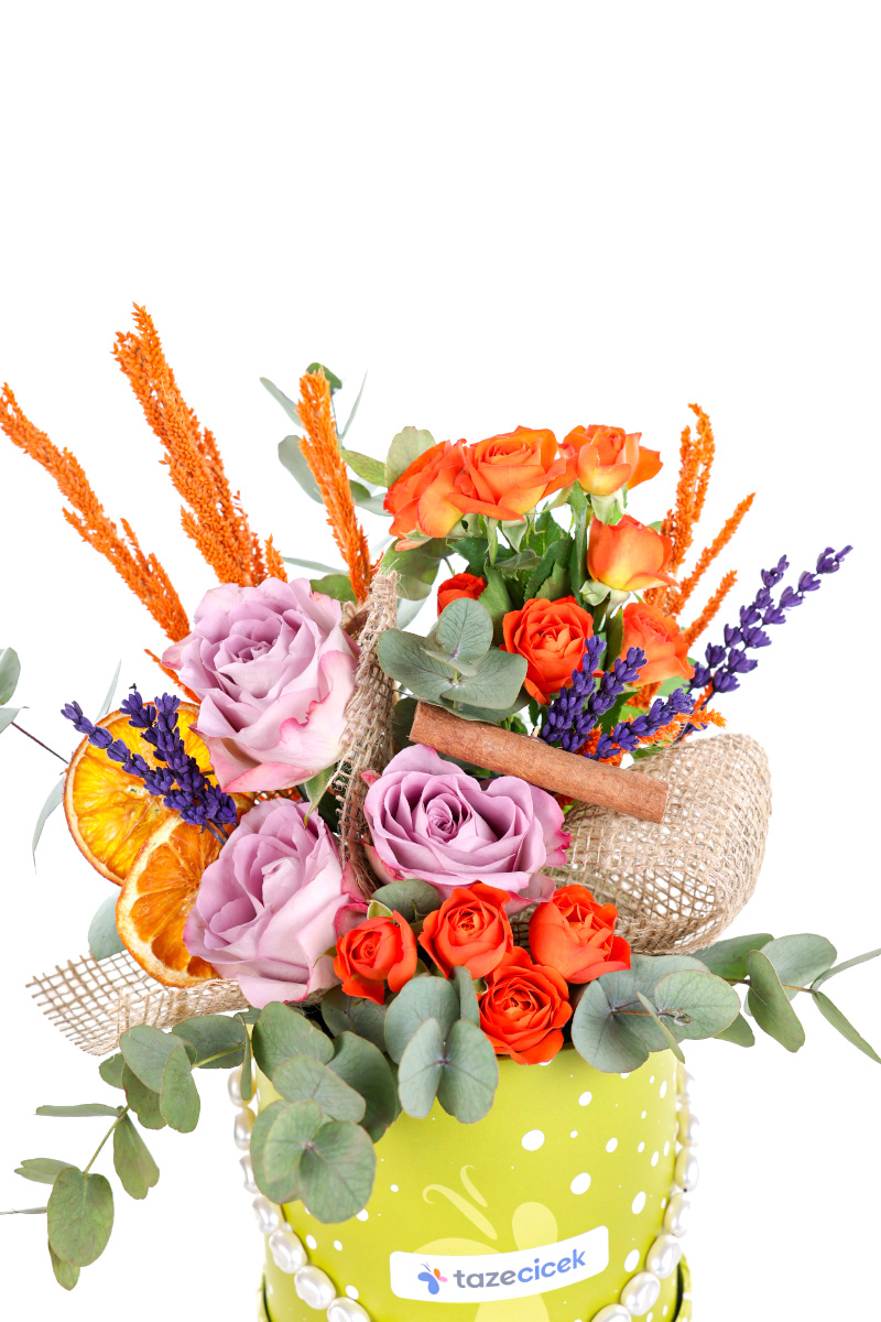 Zesty Elegance Kutuda Gül Zerafeti