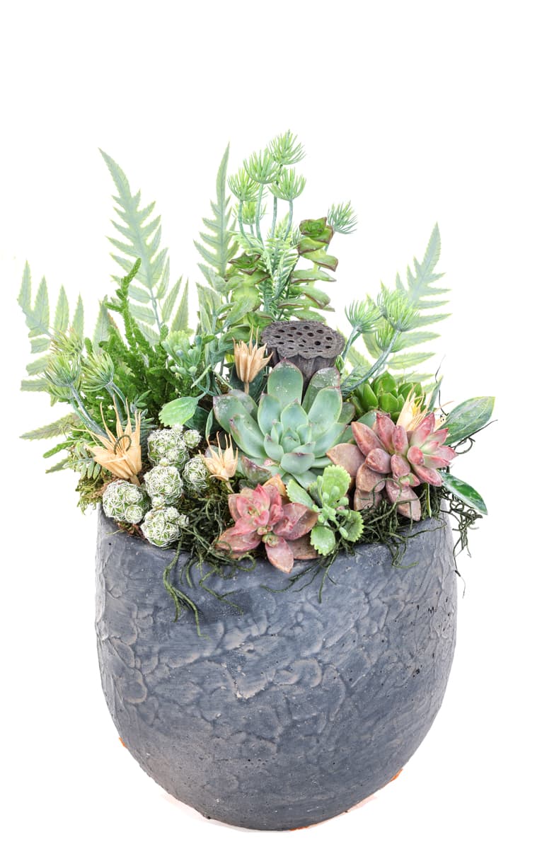 Raw Nature Bloom