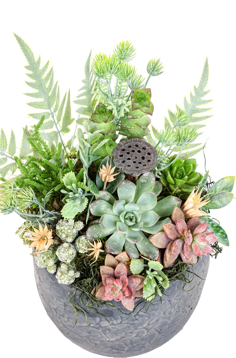 Raw Nature Bloom