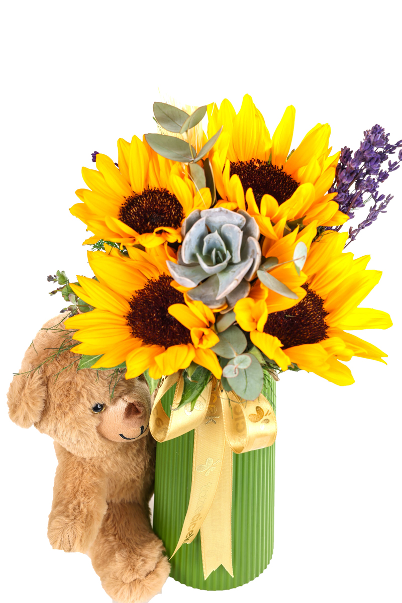 Pretty Bear & Sunflower