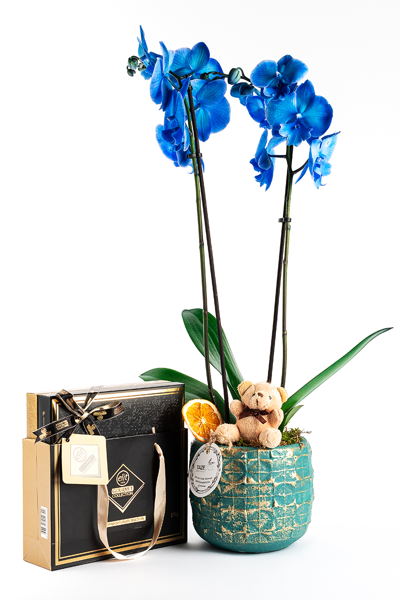 Blue Sea Orkide ve Elit Çikolata