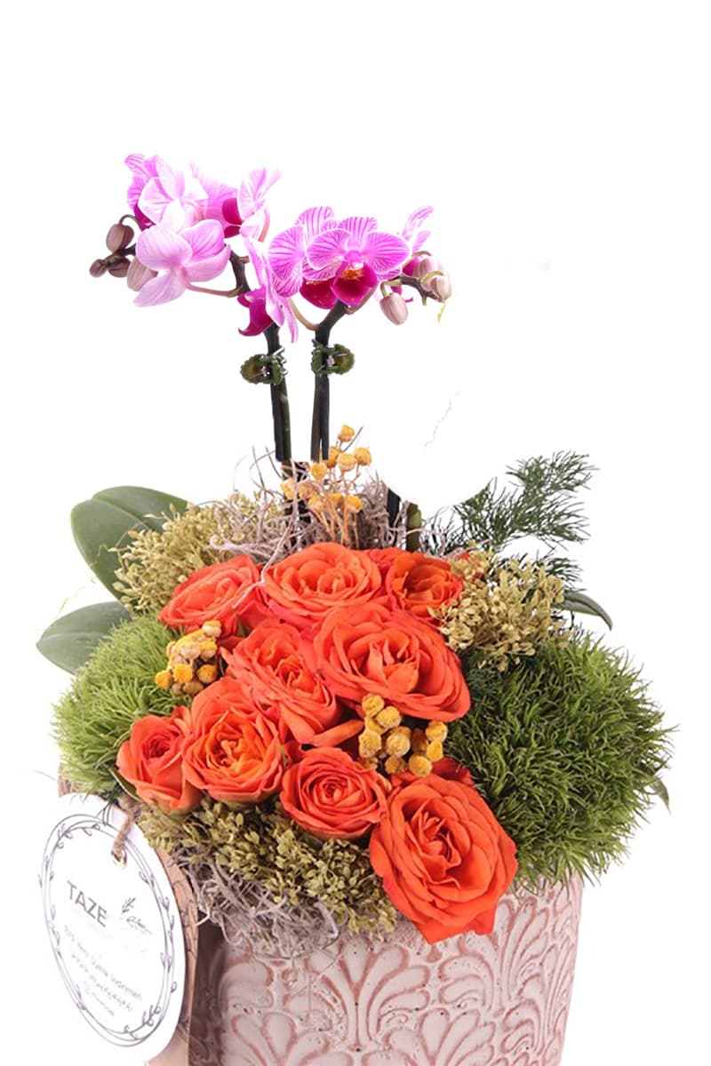 Luxury Design Special Orkide & Orange Güller