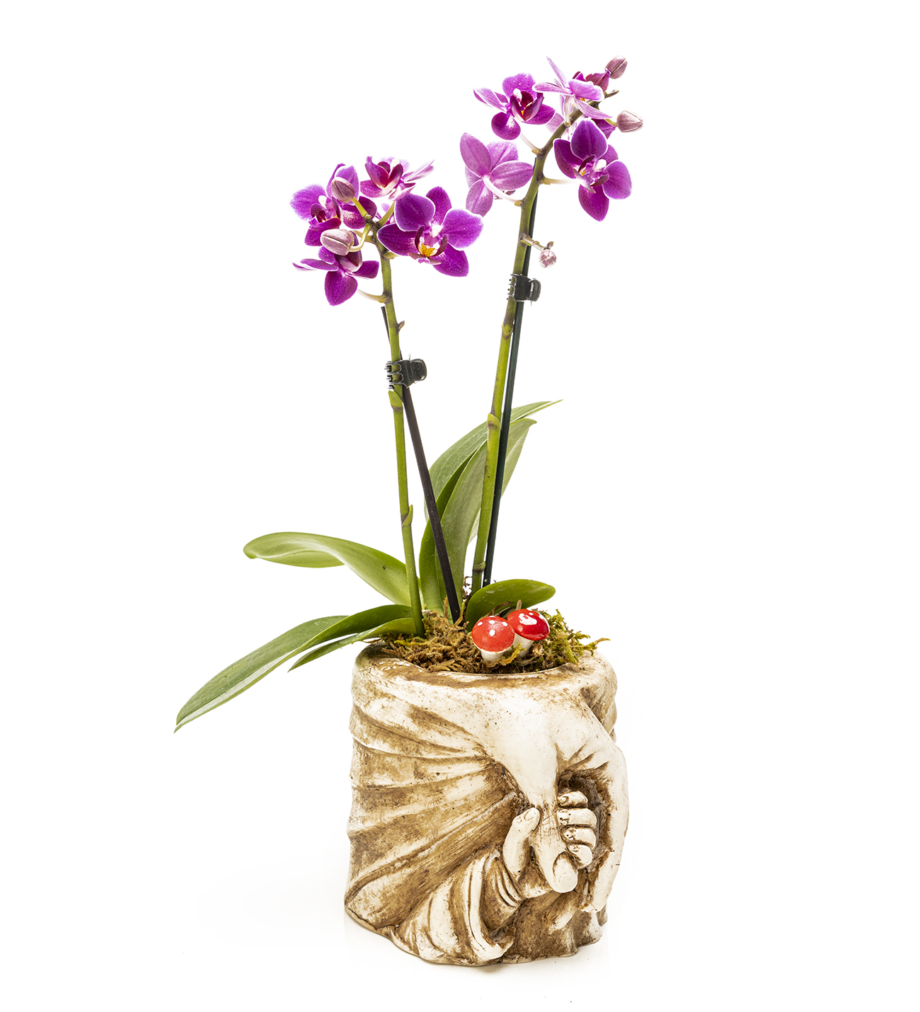 Mothers Hand Mini Orkide Tasarım