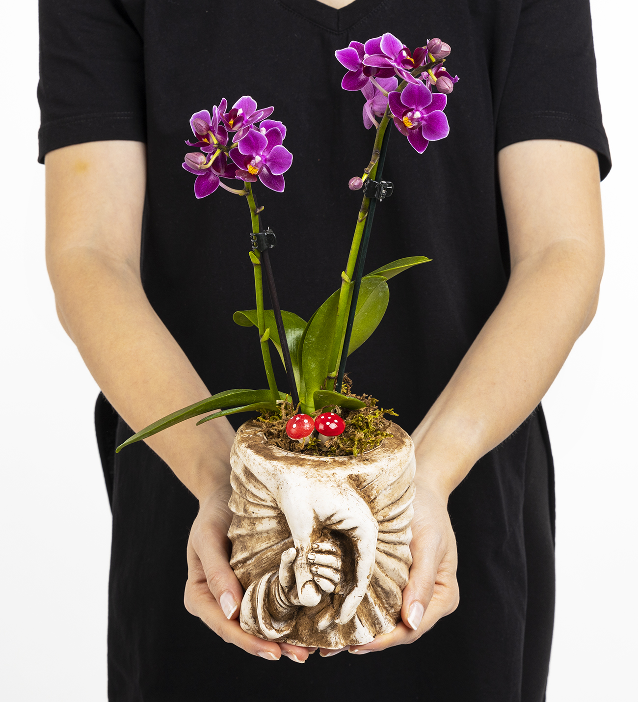 Mothers Hand Mini Orkide Tasarım