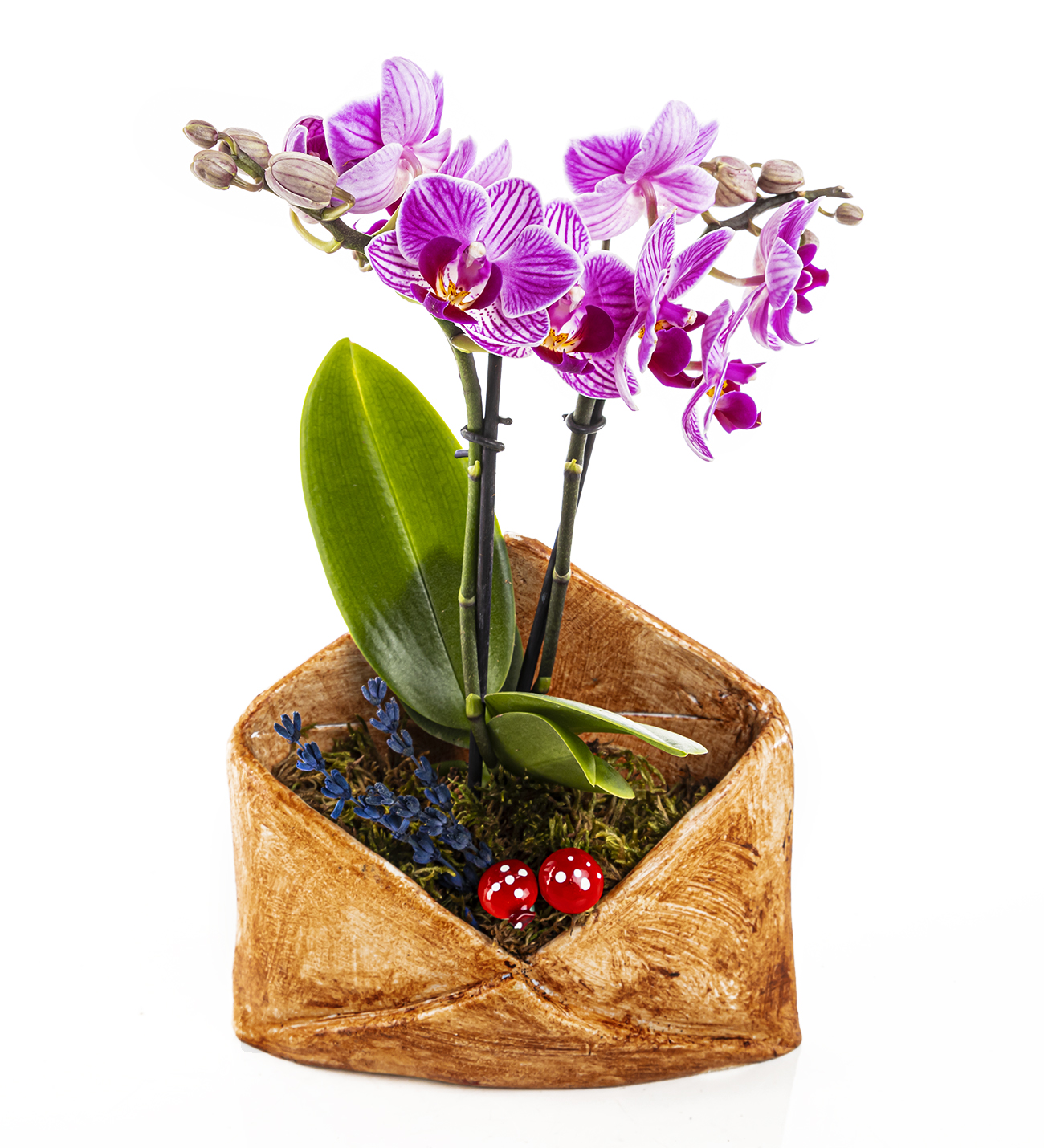 Flower Mail Serisi Mini Orkide Tasarım