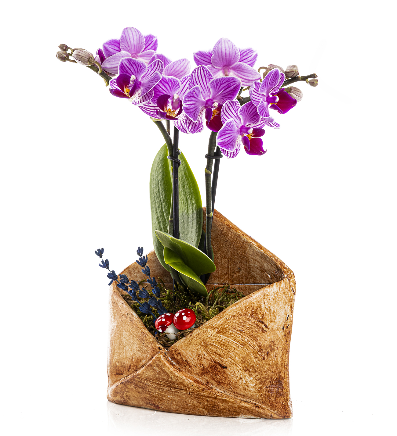 Flower Mail Serisi Mini Orkide Tasarım