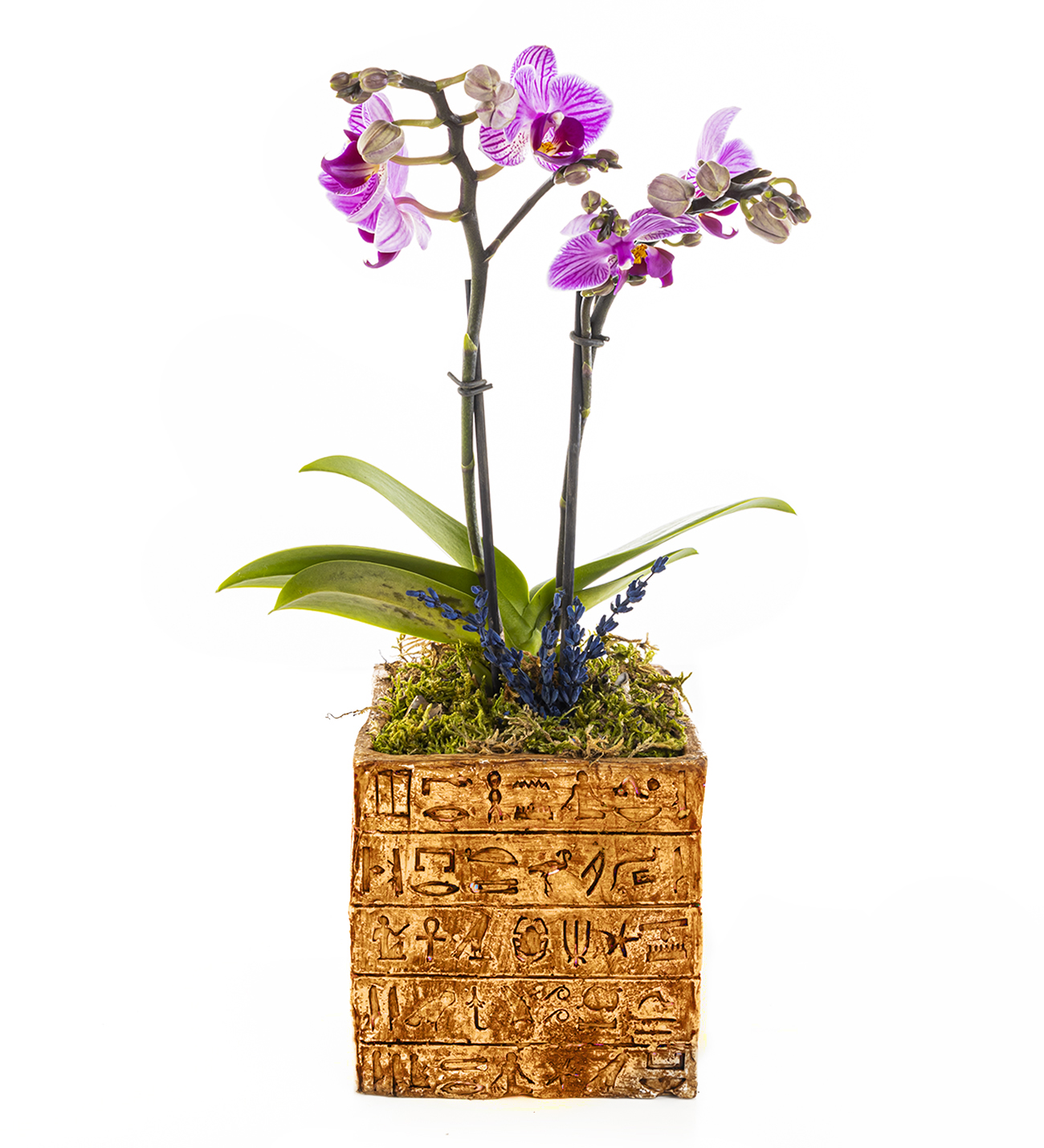 Antik Gizem Kare Serisi , Mini Orkide Tasarım