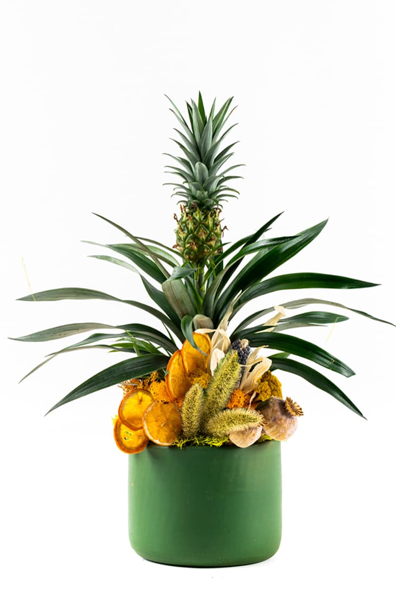 Green Pineapple