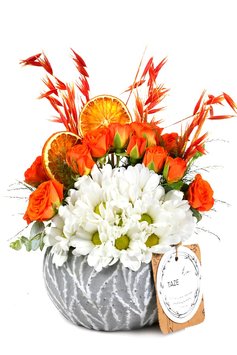 Oriental Orange Güller ve Papatyalar