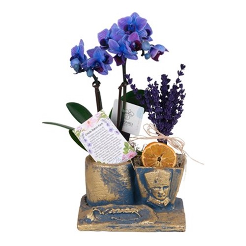 Atatürk Öğretmenler Günü Mavi Orkide I Taze Çiçek