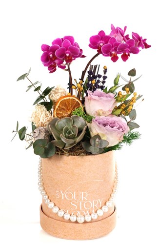 Bloom&Botanica Orkide