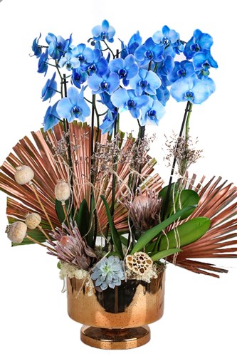 Blue Orchid In Gold Vase