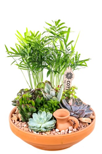 Boho Earthen Bloom Sukulent