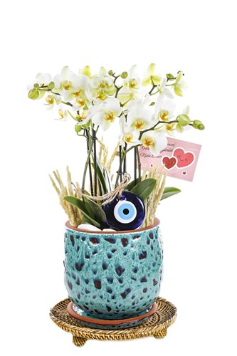 Bougetto Orchid and Evil Eye Bead