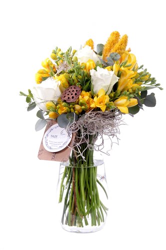 Breezy Yellow Freesia