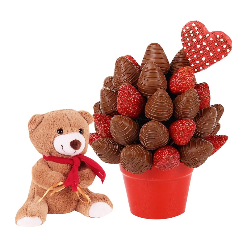 Choco Berry Bear Meyve Sepeti/Taze Çiçek