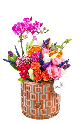 Colorful Dream Arrangement