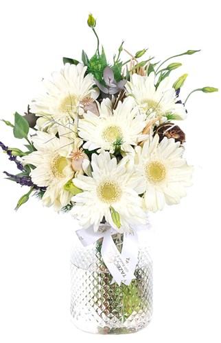 Coy Gerbera Aranjmanı