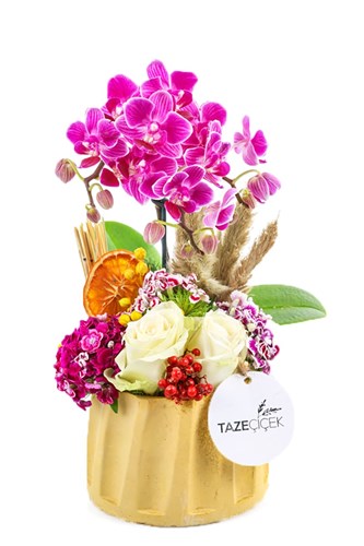 Delightful Orchid Arrangement