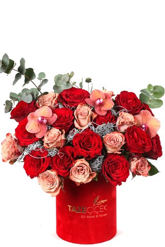 Fire Color Tone Roses