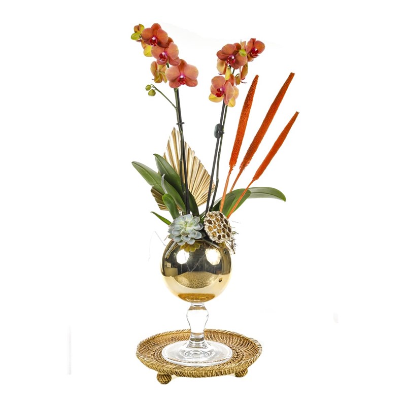 Golden Orchid Mood | Taze Çiçek
