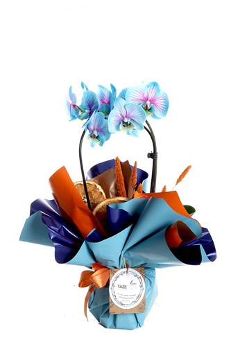 Grand Majesty Blue Orchid