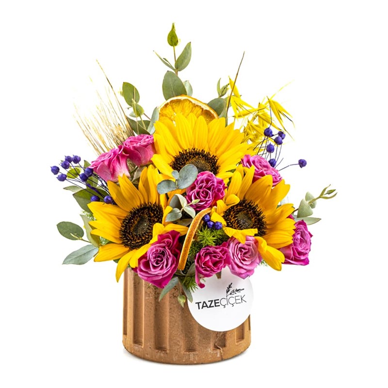 Live Flowers I Taze Çiçek