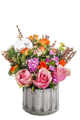 Mixed Press Seasonal Flowers