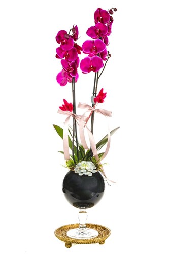 Pink Orchid Black Vase